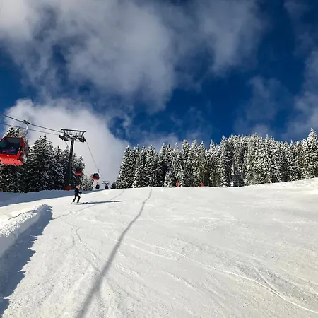 Penthouse Jensen * Mittersill